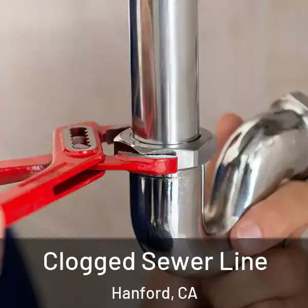  Clogged Sewer Line Hanford, CA