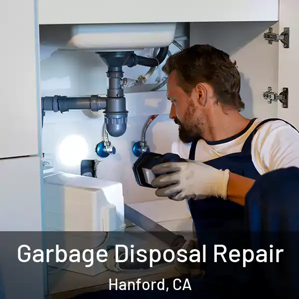  Garbage Disposal Repair Hanford, CA