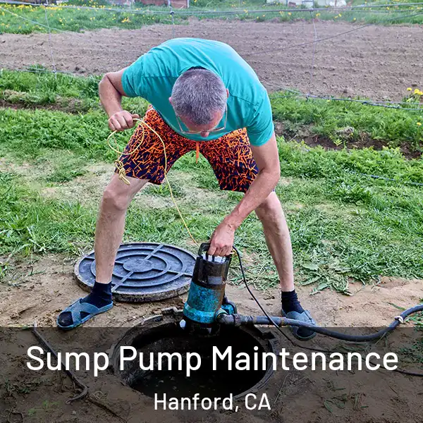  Sump Pump Maintenance Hanford, CA