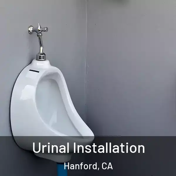  Urinal Installation Hanford, CA