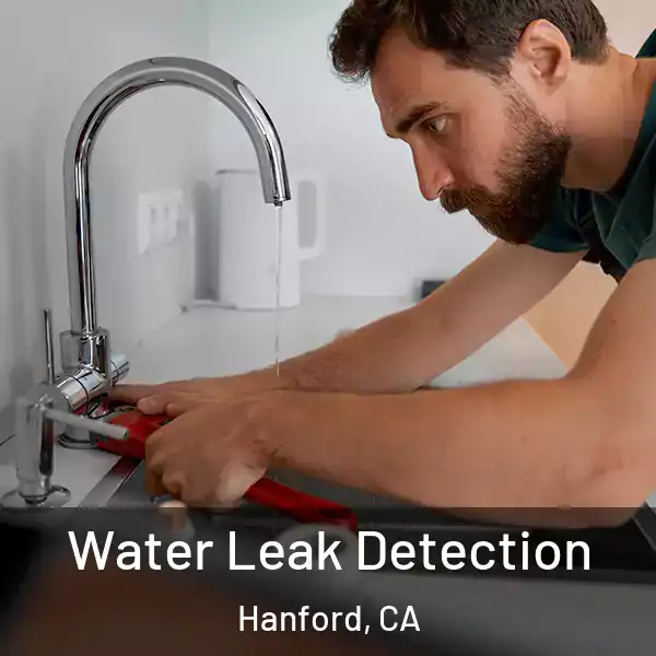  Water Leak Detection Hanford, CA